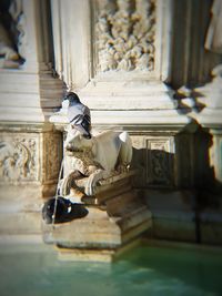 View of cat on steps