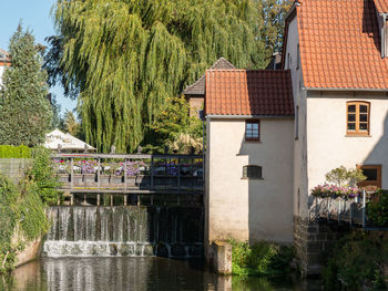 Houses and trees by lake in town