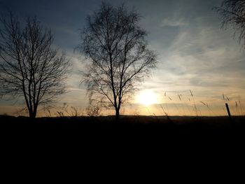 Silhouette bare trees on field against sky at sunset