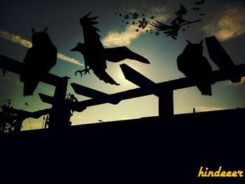 bird