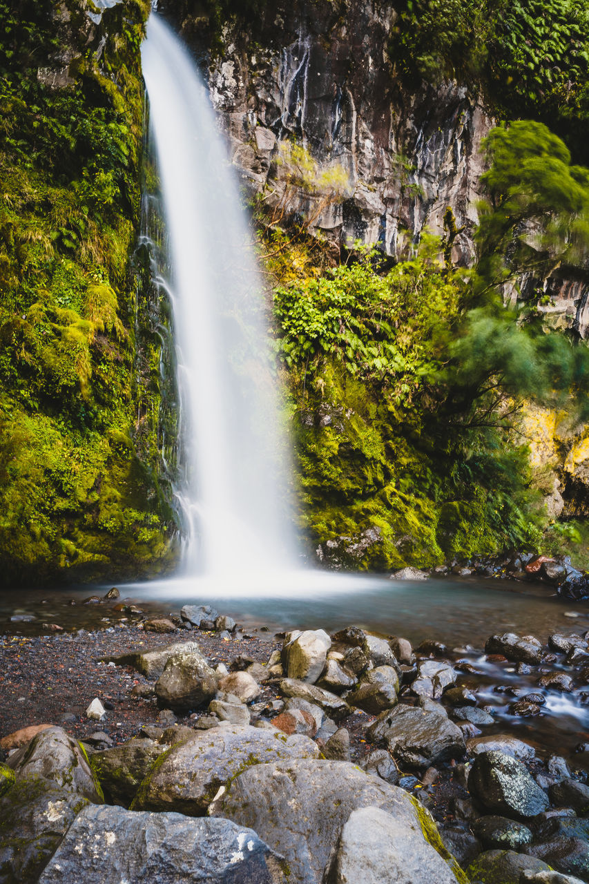 WATERFALL IN FOREST