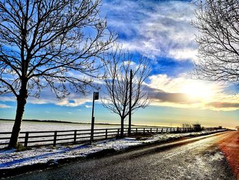 Bare tree by road against sky