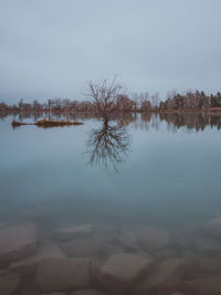 Reflection of trees in lake against sky