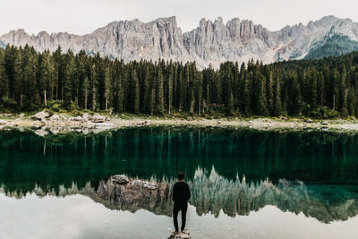 Rear view of man standing by lake