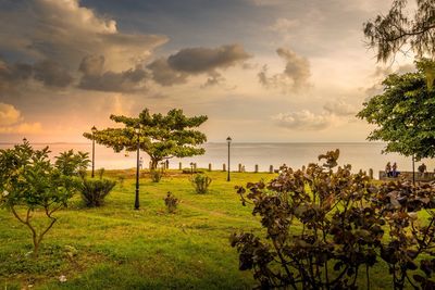 Scenic view of sea against sky