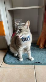 pet