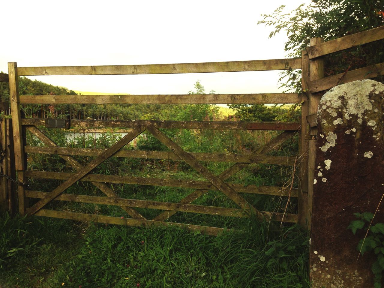 grass, fence, field, built structure, clear sky, architecture, grassy, protection, safety, security, building exterior, chainlink fence, sky, tree, metal, day, rural scene, railing, growth, landscape