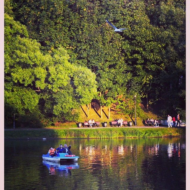 tree, water, green color, waterfront, lake, growth, tranquility, nature, tranquil scene, beauty in nature, men, river, nautical vessel, lifestyles, leisure activity, scenics, reflection, person, lush foliage