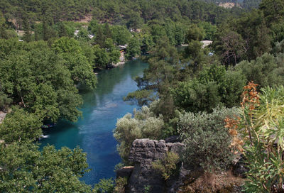 High angle view of lake amidst trees in forest