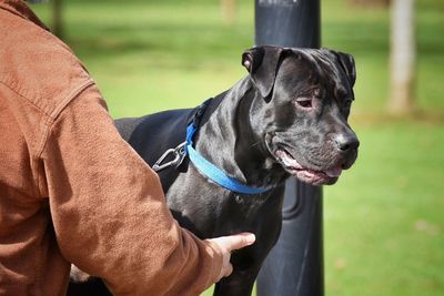 Close-up of man with dog