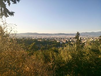 Scenic view of landscape against clear sky