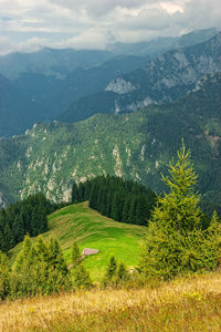 Scenic view of landscape and mountains against sky