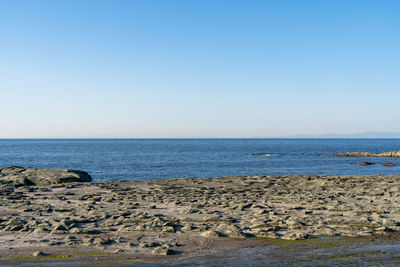 Scenic view of sea against clear sky