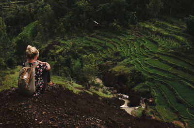 Rear view of woman with arms raised amidst trees