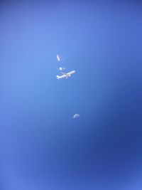 Jellyfish in water against blue sky