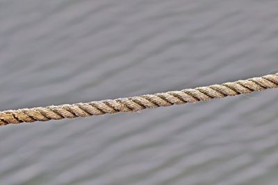 High angle view of ropes tied on rope