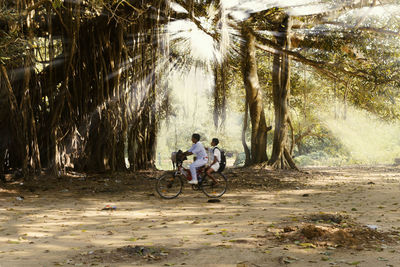 People riding bicycle on palm trees