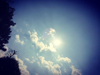 Low angle view of trees against cloudy sky