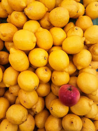 High angle view of lemons for sale at market stall