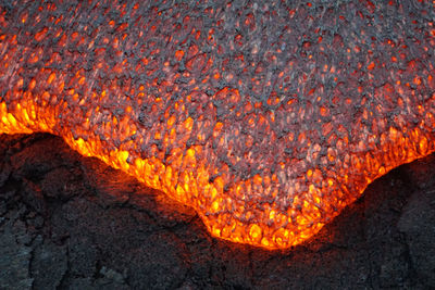 Close-up of a bonfire