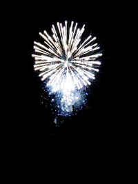 Low angle view of firework display against sky at night