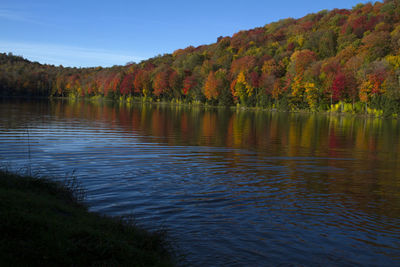Scenic shot of calm countryside lake against trees