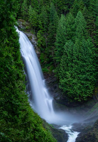 Scenic view of waterfall in forest