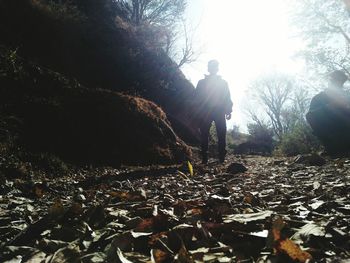 Man standing by trees in forest against sky