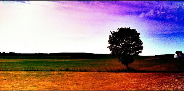 Scenic view of field against sky