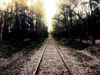 Railroad tracks amidst trees against sky