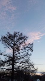 Silhouette tree against sky during sunset