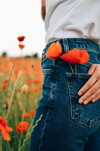 Close-up of red poppies in womans jeans pocket
