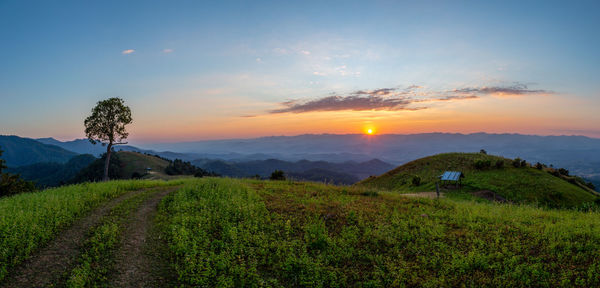 landscape