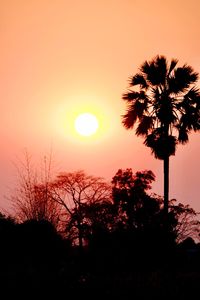 Silhouette trees against sky during sunset