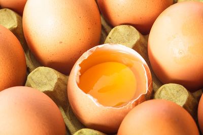 High angle view of eggs in container