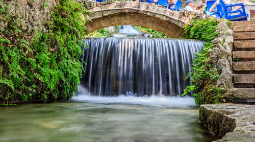 View of waterfall along trees