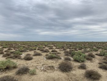 Scenic view of landscape against sky