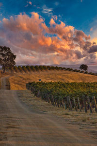 Scenic view of field against sky during sunset