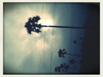 Low angle view of trees against cloudy sky