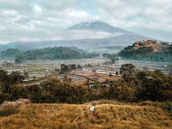 Scenic view of landscape against sky