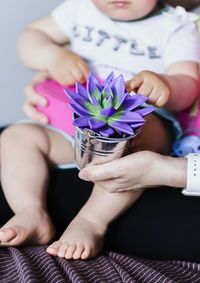 Midsection of woman holding pink flower