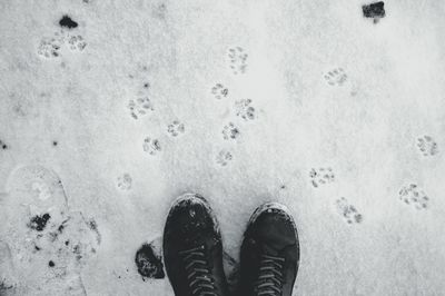 Low section of person on sand with cat footprint