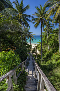 Footbridge amidst trees against sky