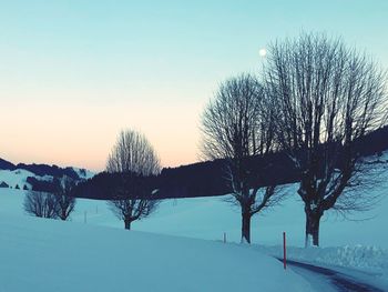 Bare trees on snow covered field against sky