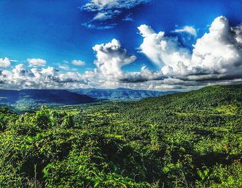 Scenic view of landscape against sky