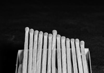 Close-up of wood on field