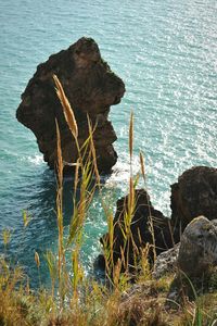 Rock formation in sea