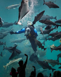 Diver greetings its audience after an aquarium show, Ålesund, norway