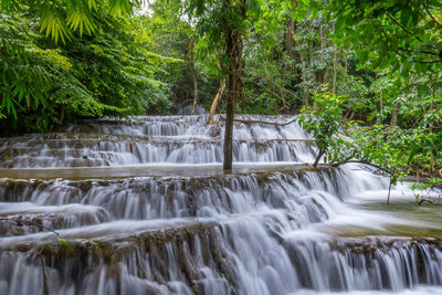 Scenic view of waterfall in forest