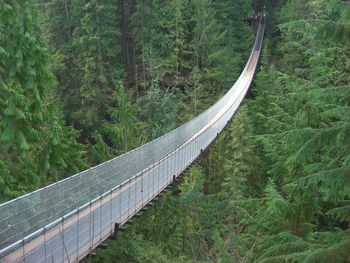 High angle view of empty capilano suspension bridge amidst trees